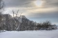Winter 28.12.2010_12